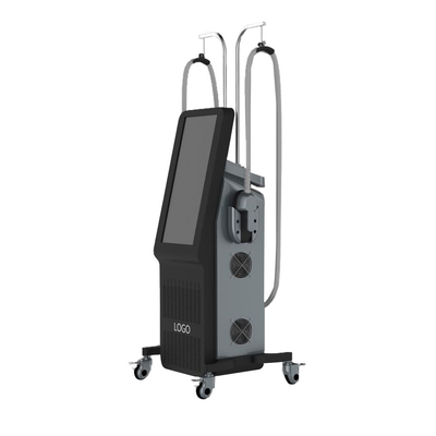 プロ EMS スリミングマシン 5000W 電気筋刺激
