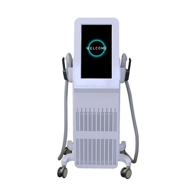 プロ EMS スリミングマシン 5000W 電気筋刺激