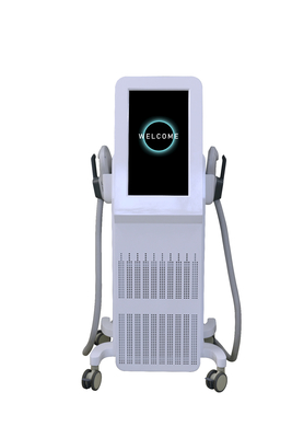 プロの筋肉刺激機 2000W EMS 筋肉成長のための機械